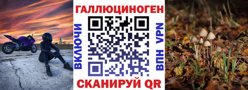 Купить где  Зея  Псилоцибиновые грибы мицелий 