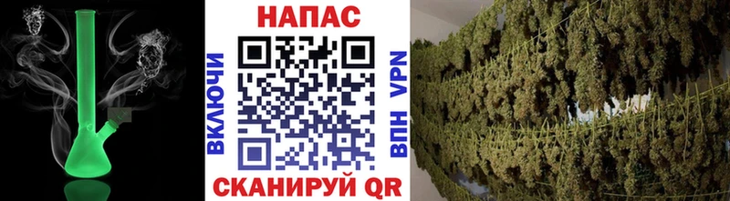 Купить где  Зея  Конопля план 